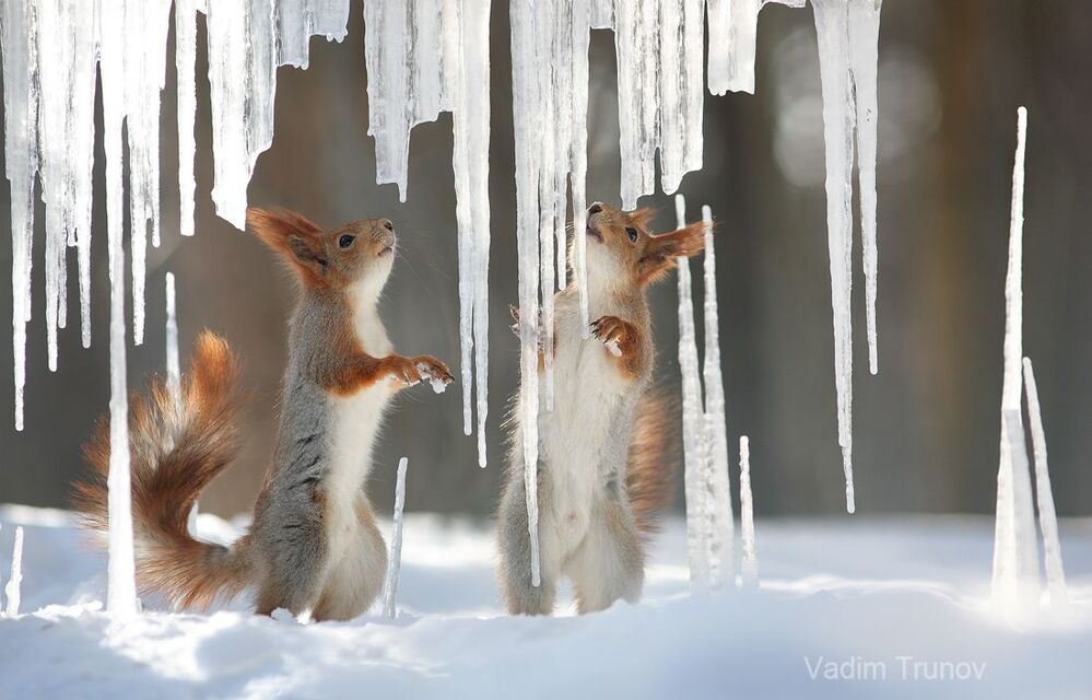 Зимний хрусталь