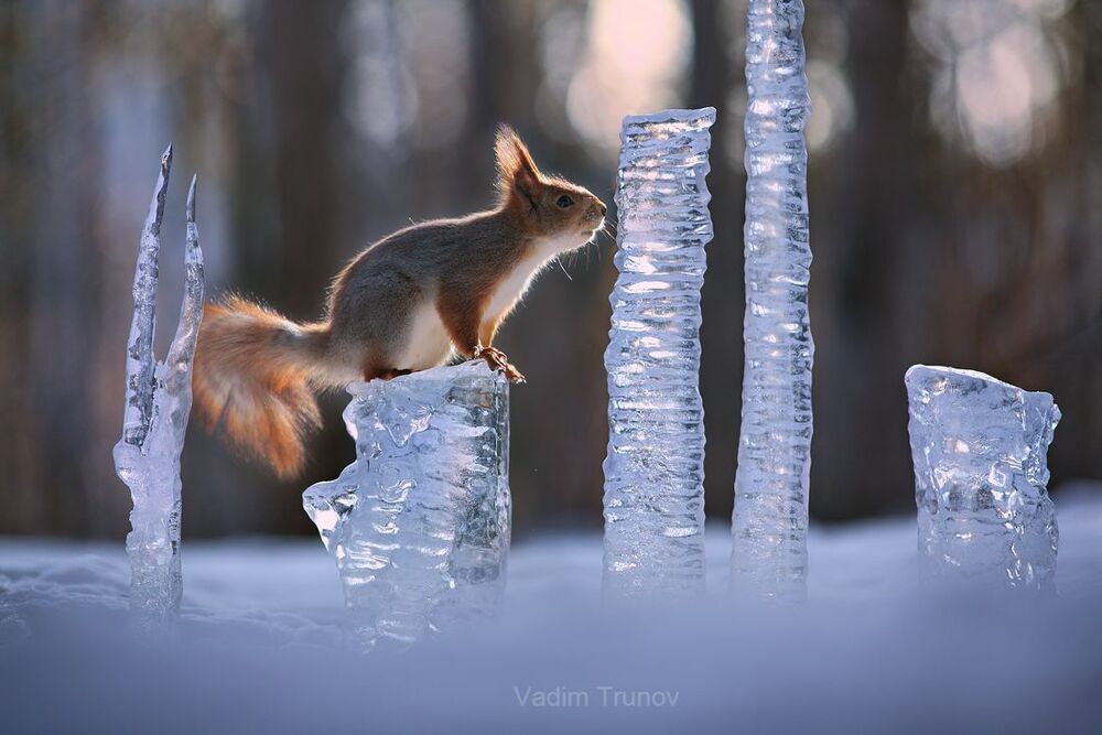 Зимний хрусталь