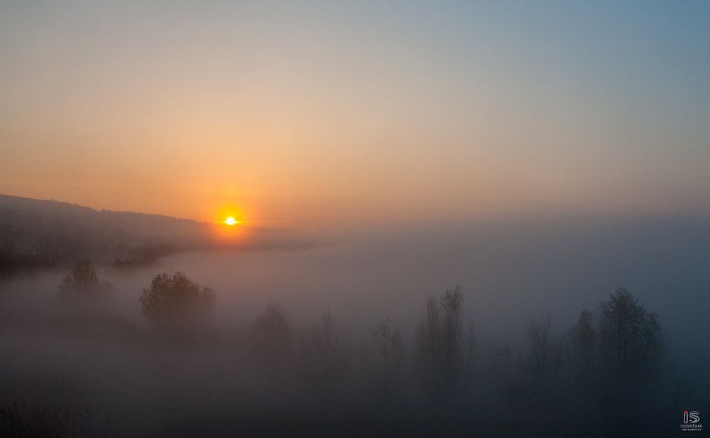 Sunrise in fog
