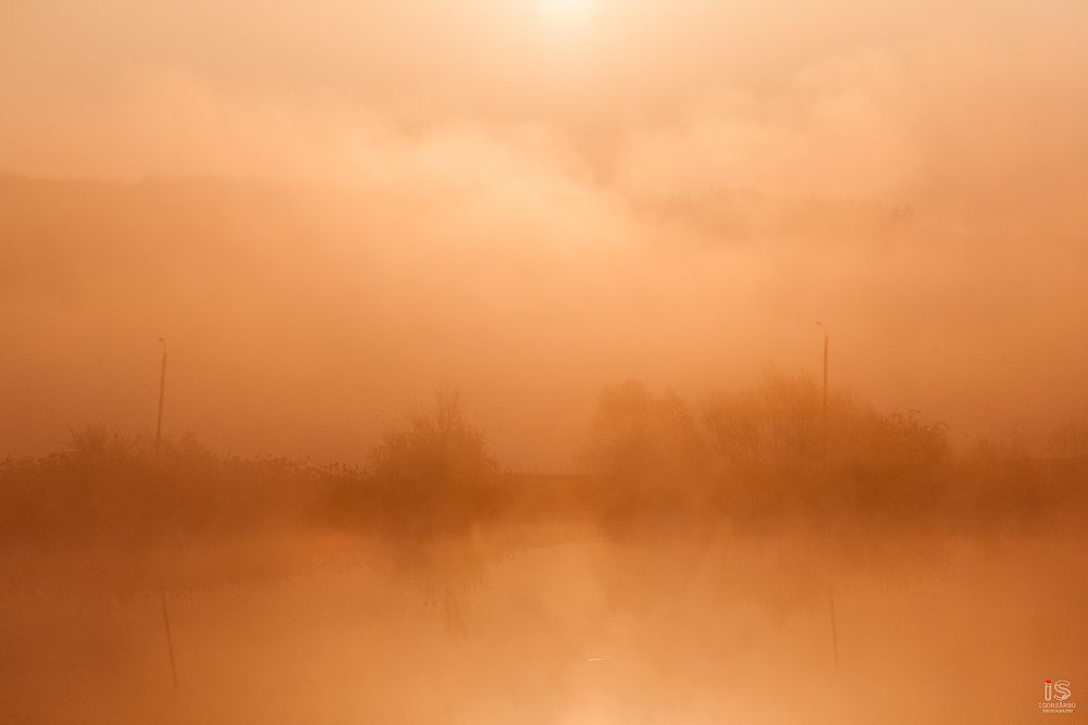 Sunrise in fog