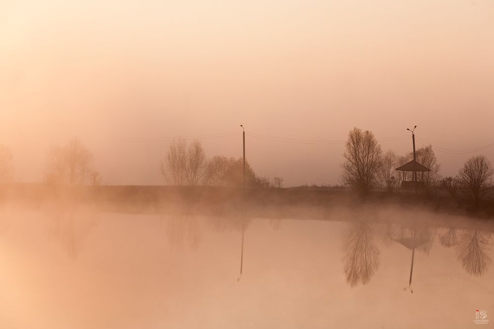 Sunrise in fog