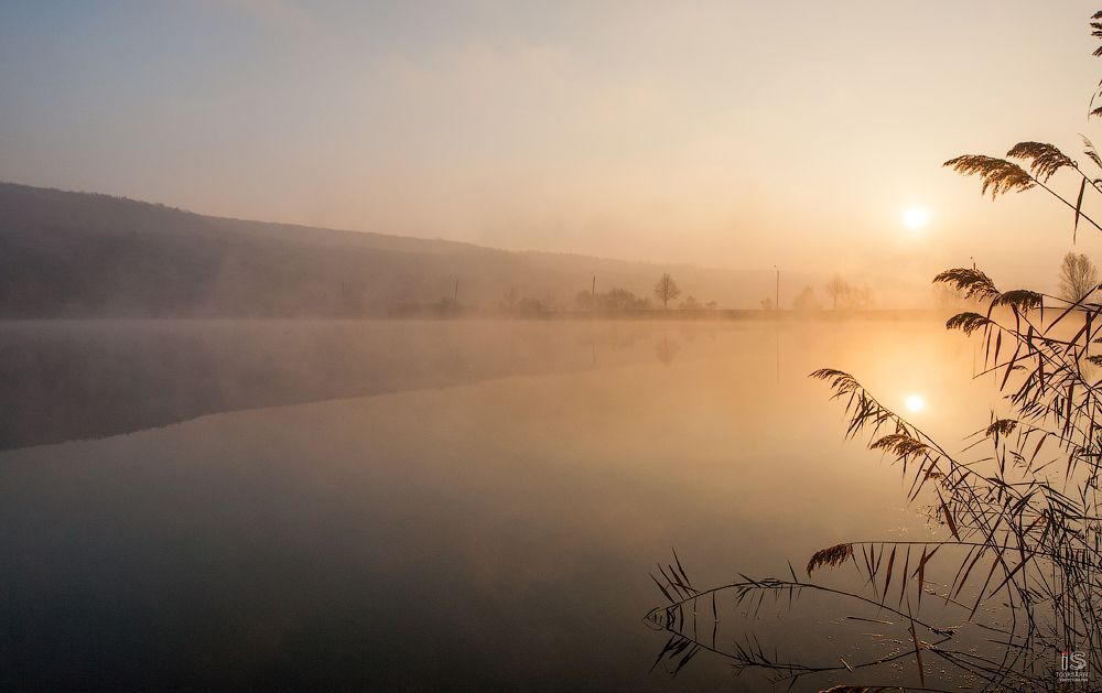 Sunrise in fog