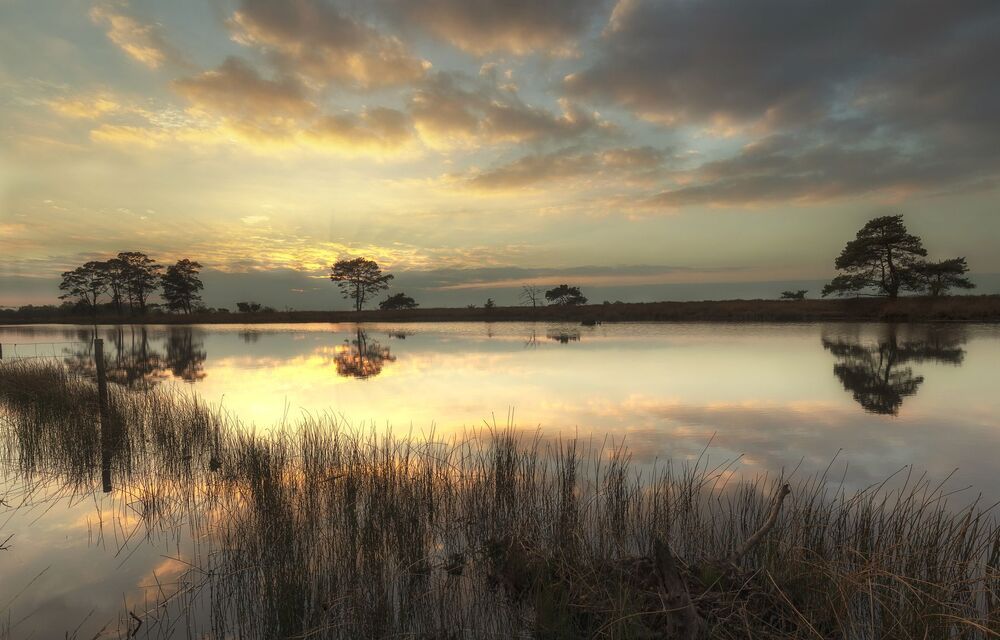 The Earth is Art, the Potographer is only a Witness