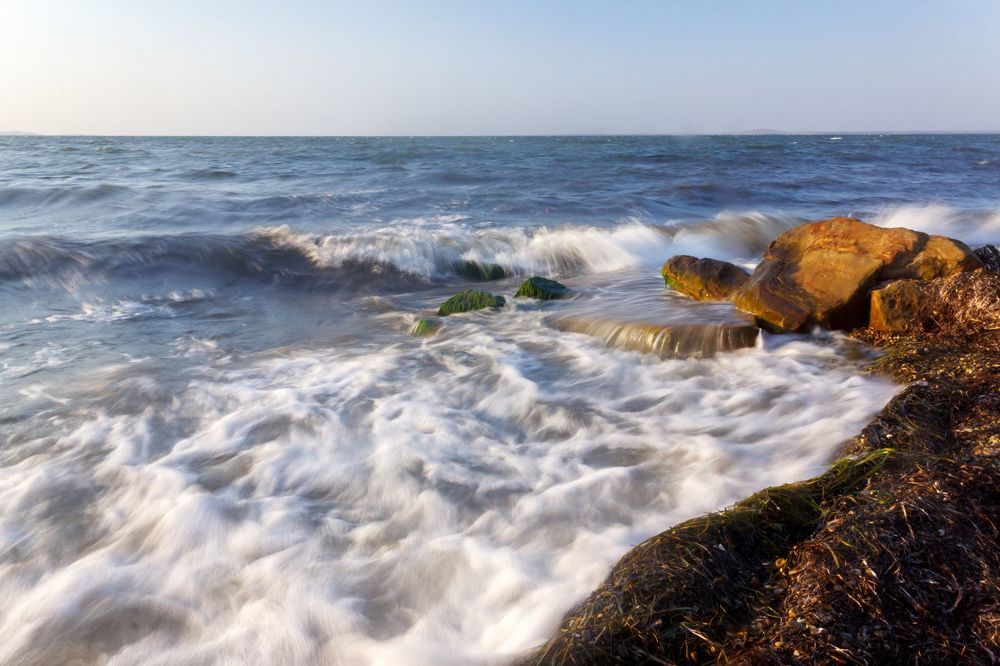 Воды Таманского залива