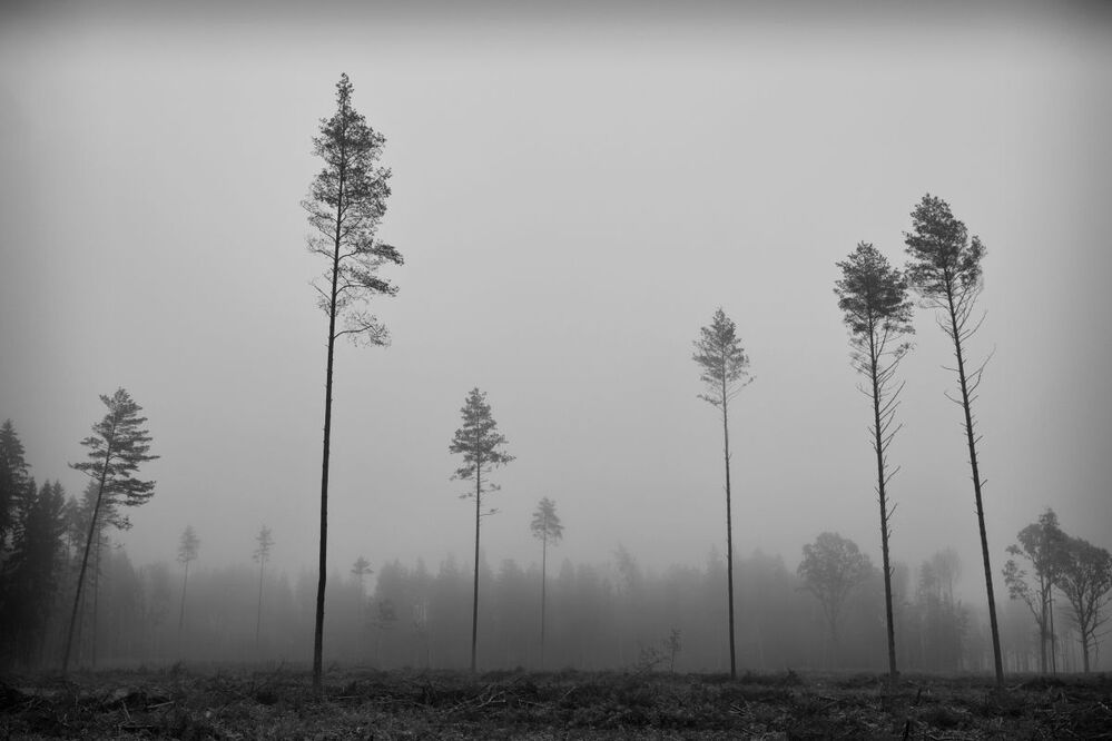 О демографической ситуации