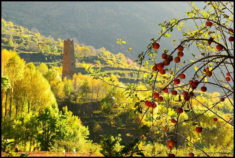 Apple and towers, Danba, Sichuan