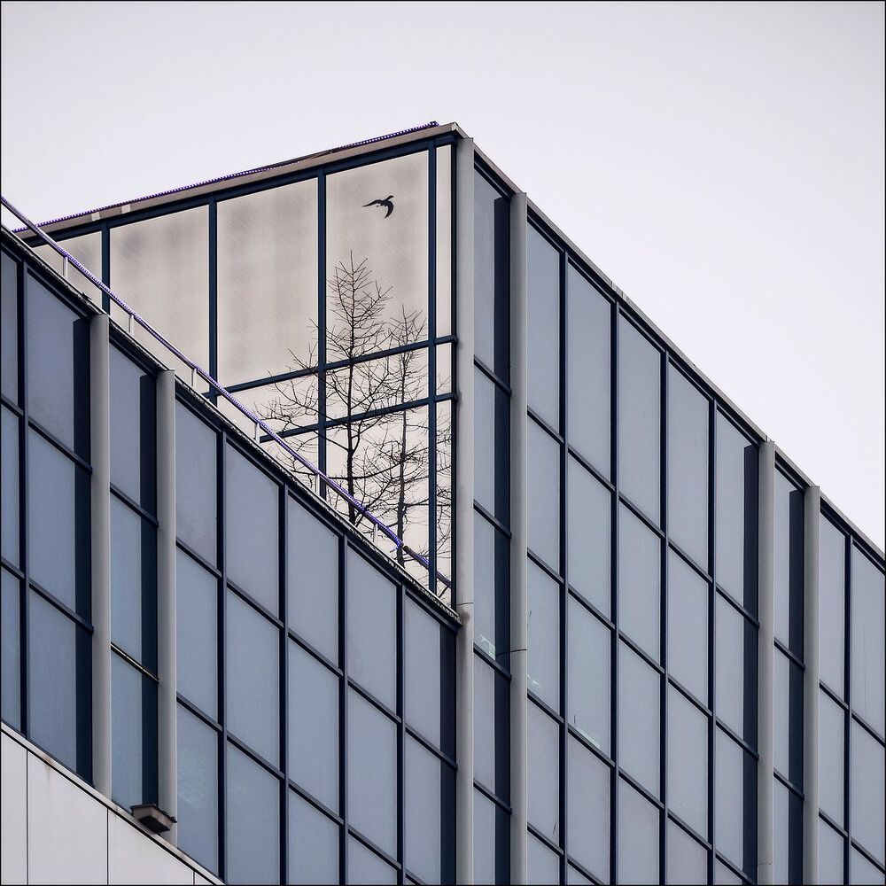 Windows