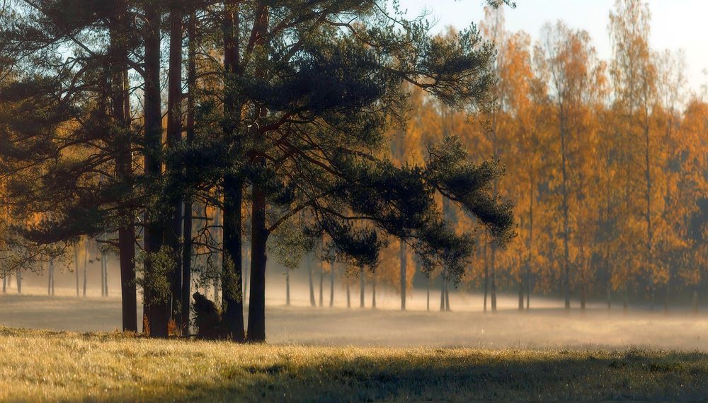 Утром . . .
