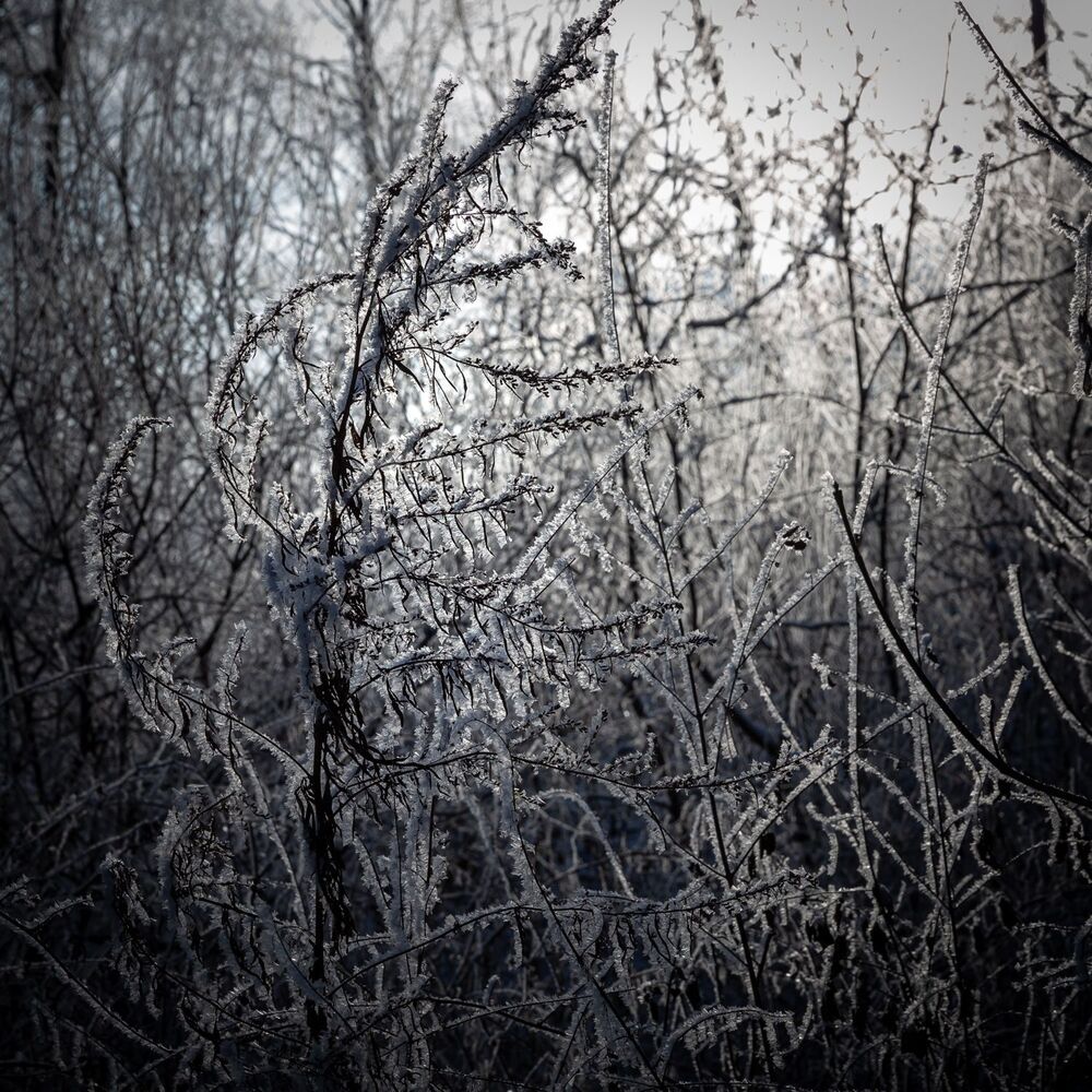Photo 1391603