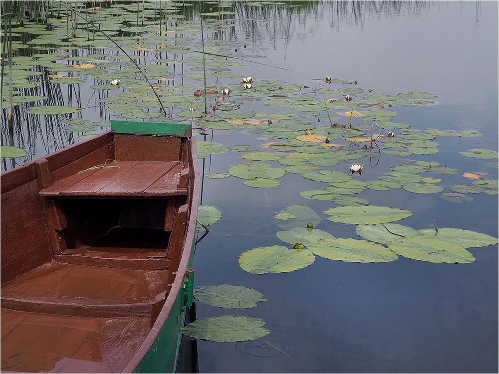 На реке.
