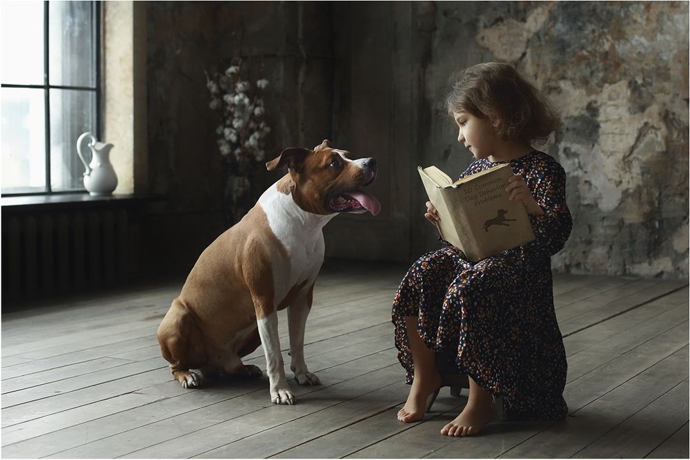 "Поведение собаки" "10 Common dog behavior problems"