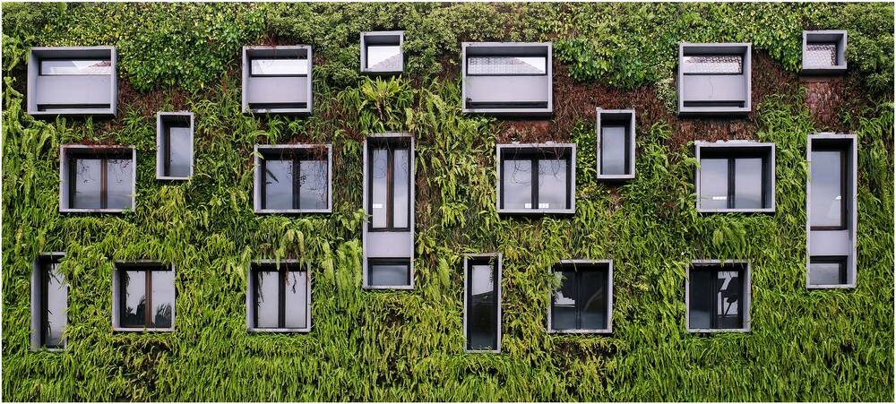 Windows