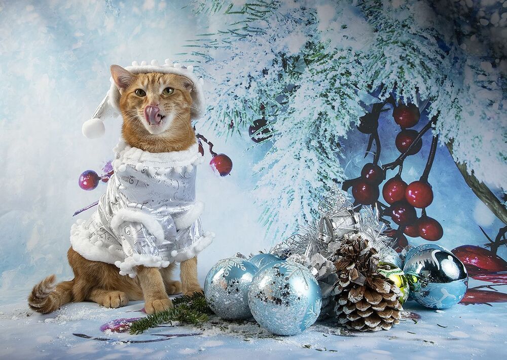 C Новым Годом! Happy New Year!