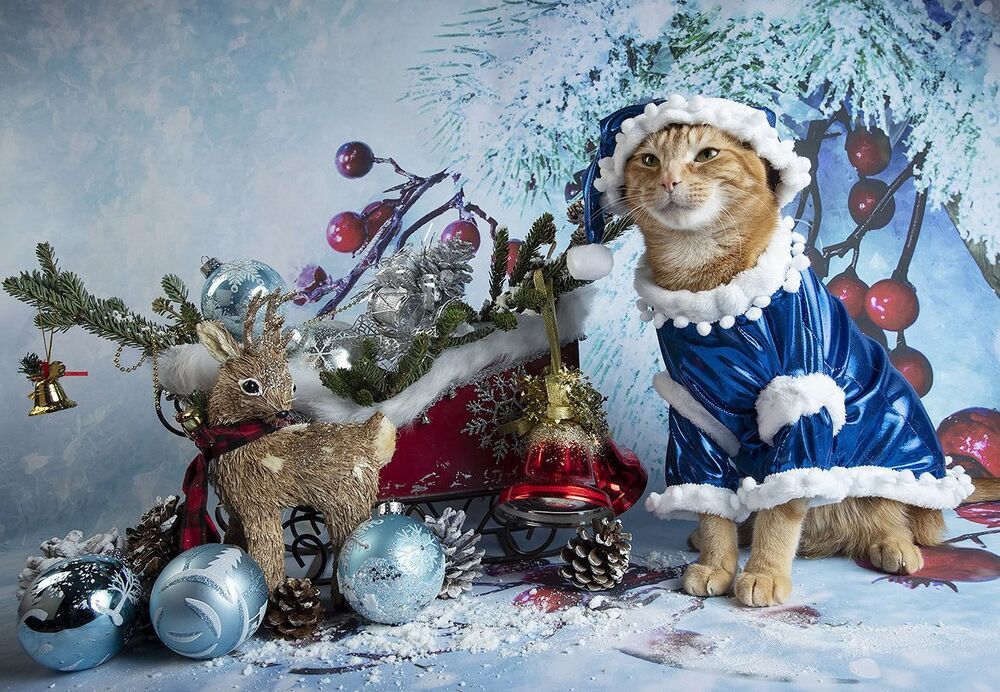 C Новым Годом! Happy New Year!