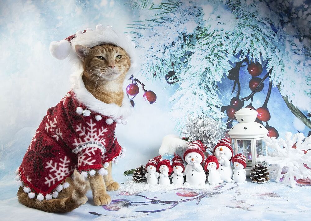 C Новым Годом! Happy New Year!