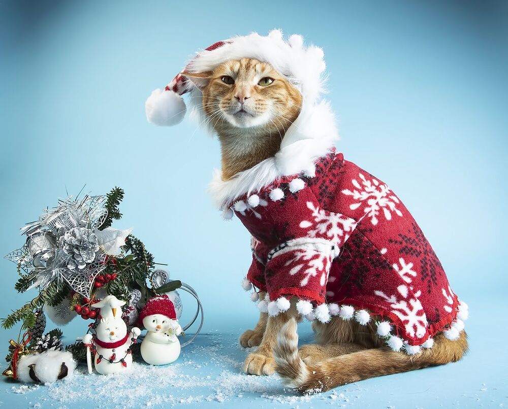 C Новым Годом! Happy New Year!