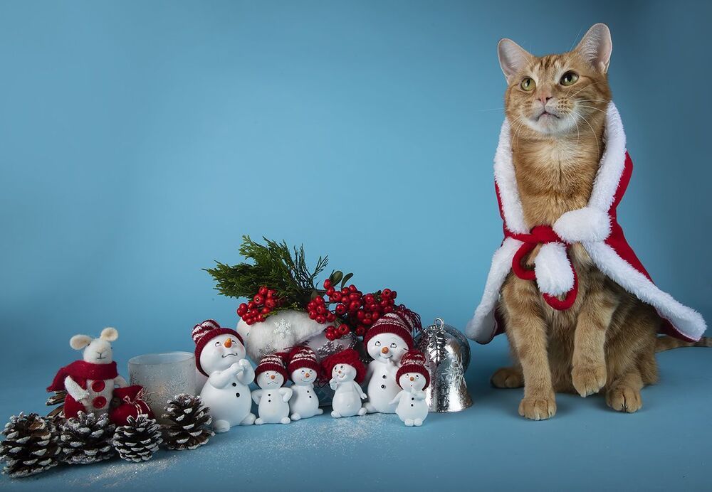 C Новым Годом! Happy New Year!