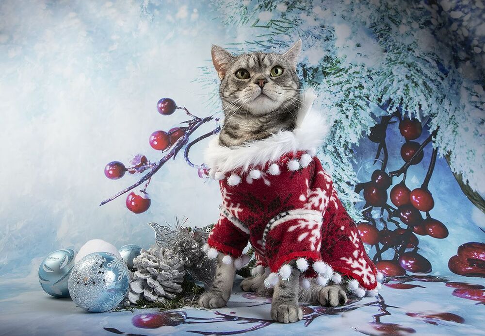 C Новым Годом! Happy New Year!
