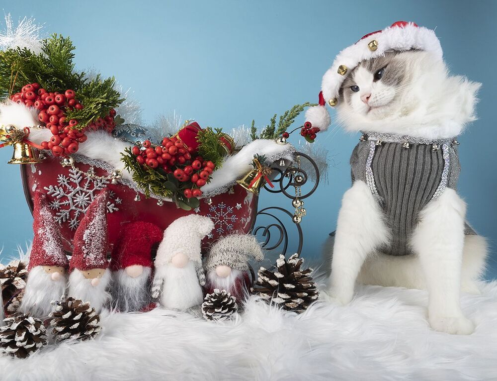 C Новым Годом! Happy New Year!