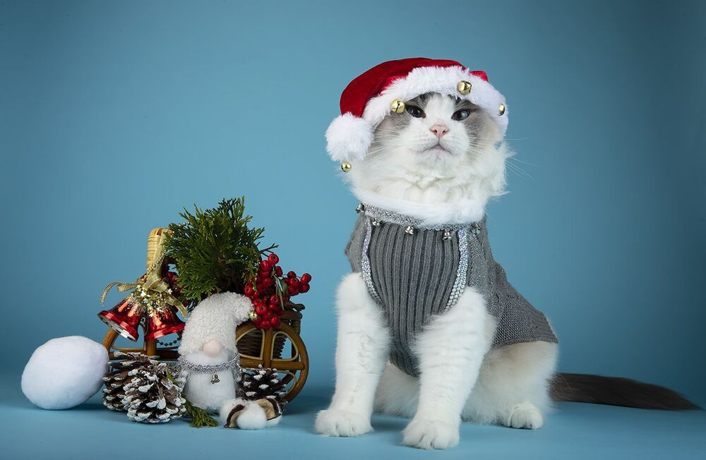 C Новым Годом! Happy New Year!