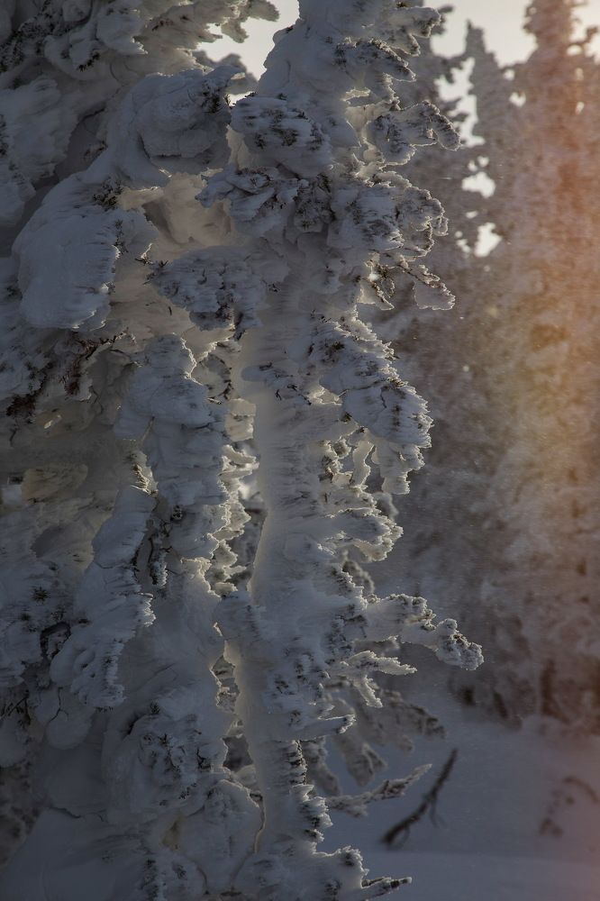 Игра с ветром...