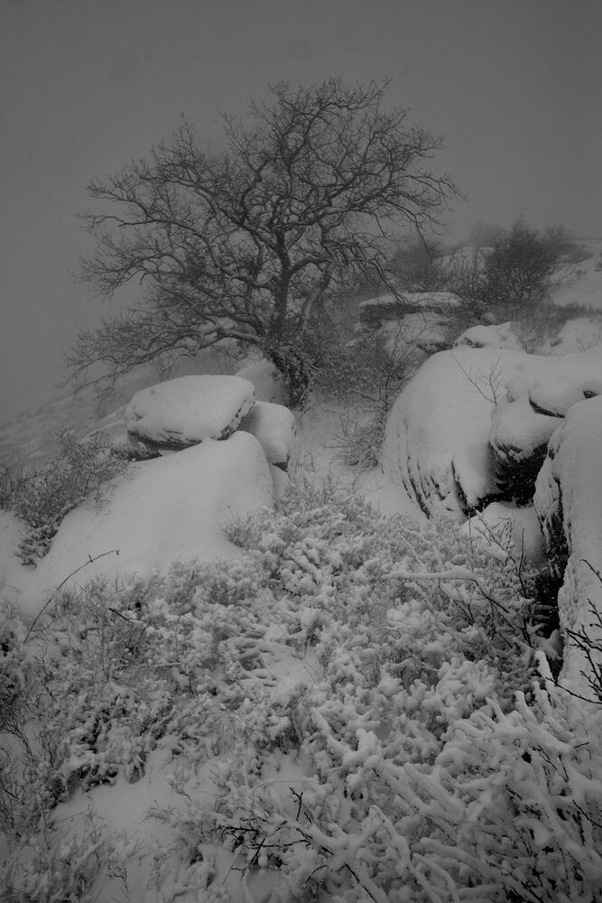 #Snow_Time