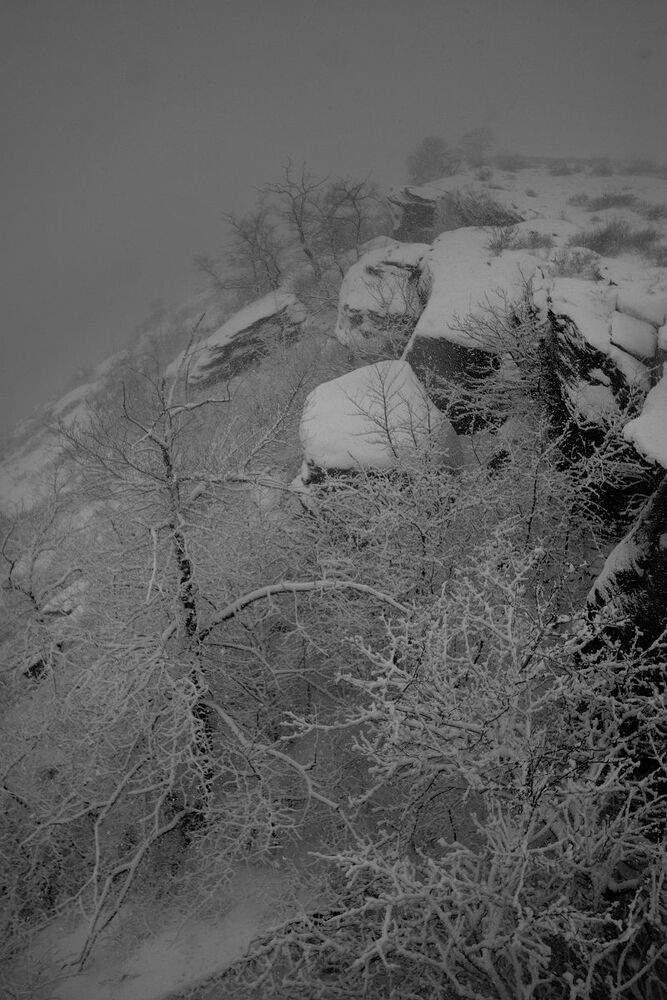 #Snow_Time
