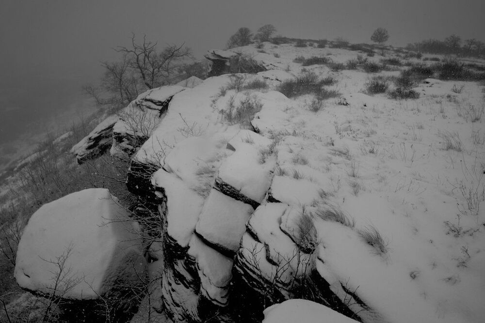 #Snow_Time