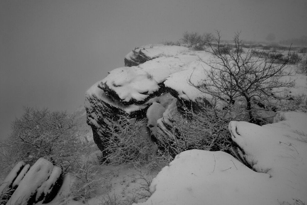 #Snow_Time
