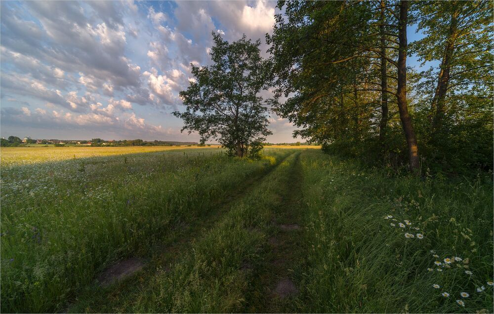 в ароматных лугах...