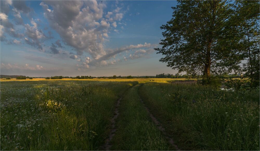 в ароматных лугах...