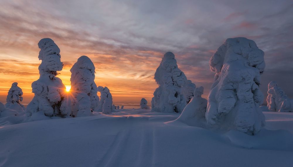 Кольский. Снежные стражи.