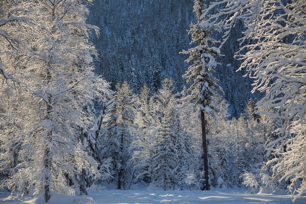 -25, но чувствуется как -15 максимум.