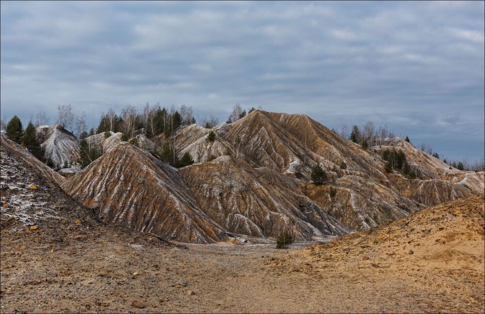 В колыбели карьера