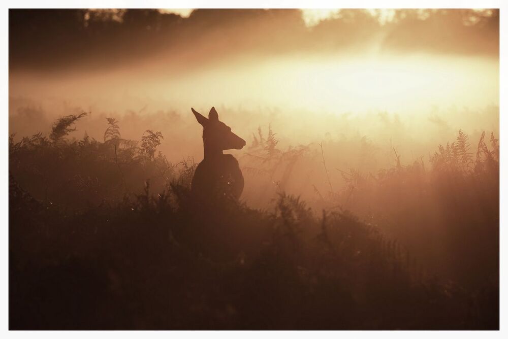 one morning