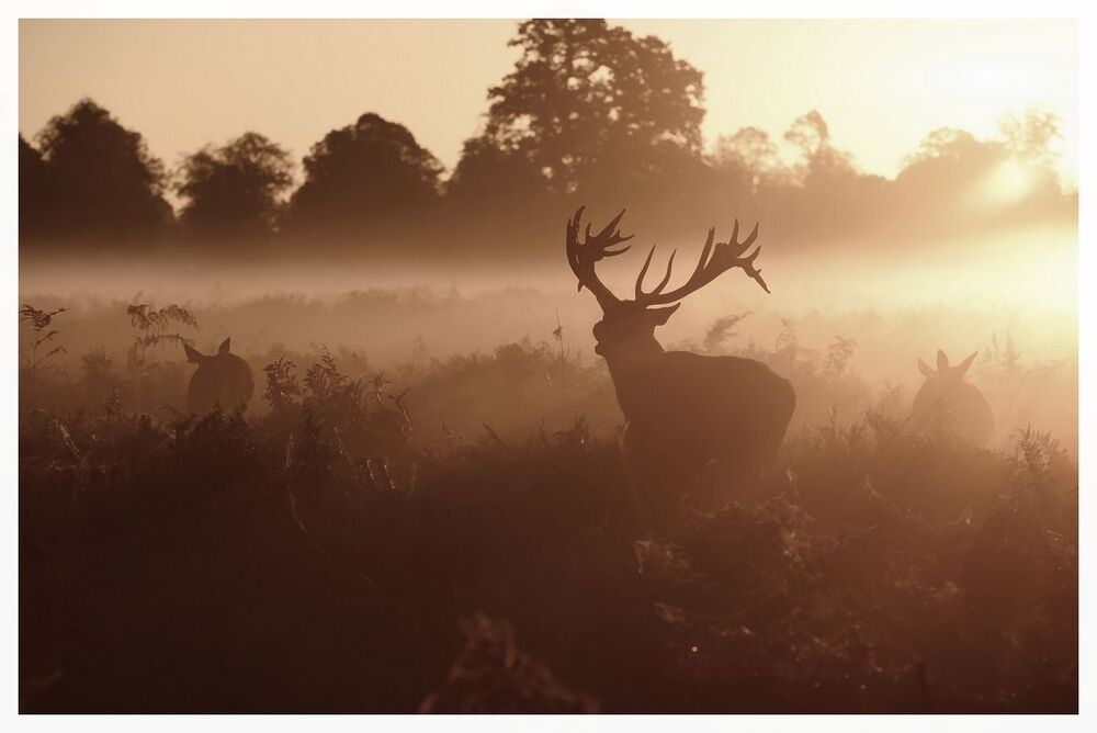 one morning