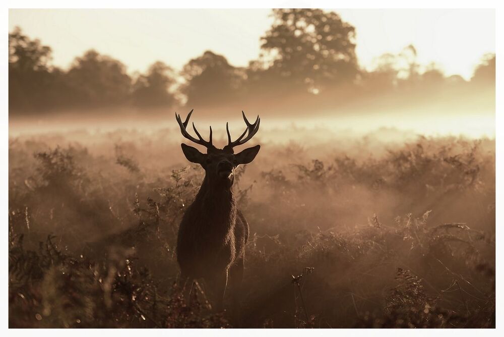 one morning