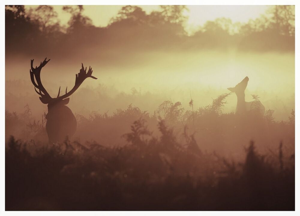 one morning