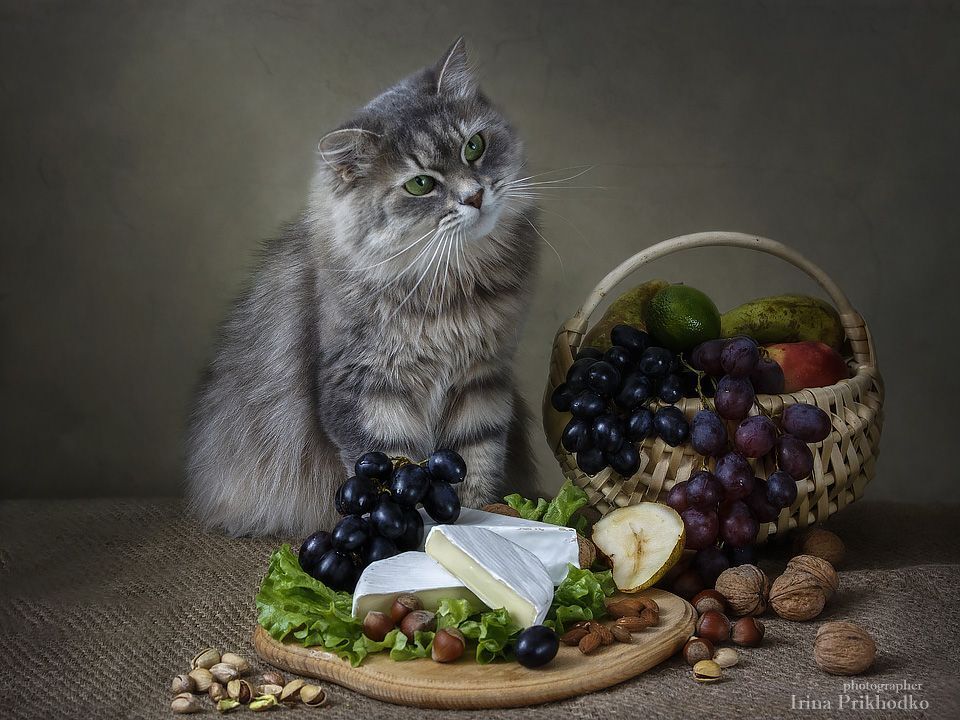 - А вы думаете, легко сохранять спокойствие возле такой вкуснятины?