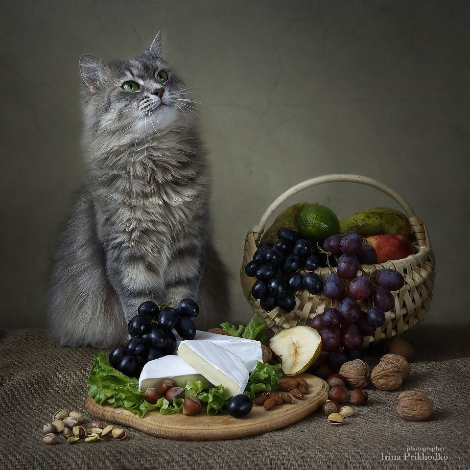 - М-м-м-м! Вкуснятина! Это я удачно попала!