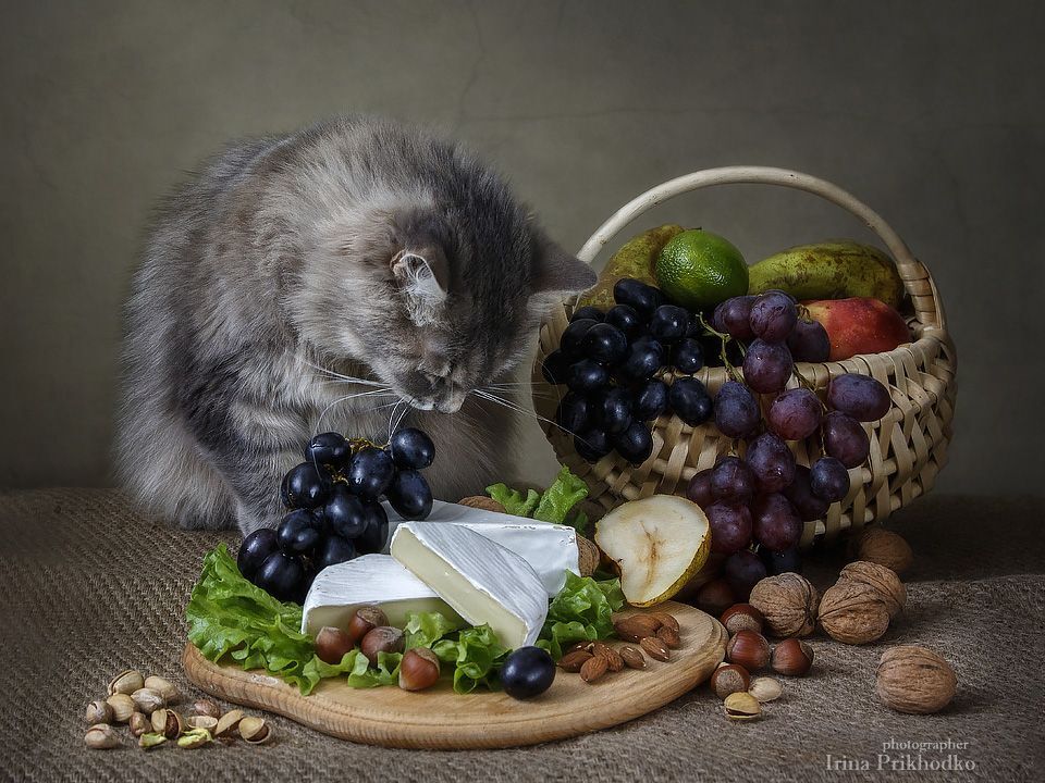 - Так, что там вкусненького?