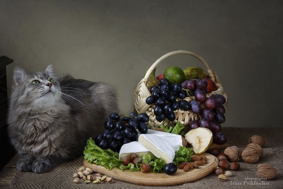 - А у нас тут, знаете ли, камамберчик!