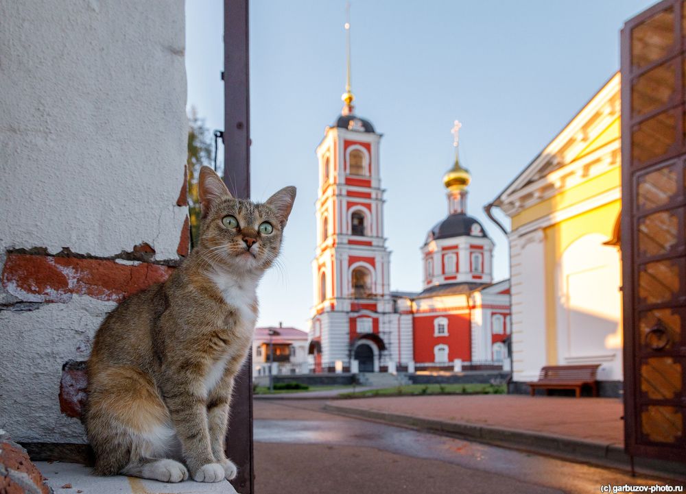 Ростов Великий. Троице-Сергиев Варницкий монастырь.