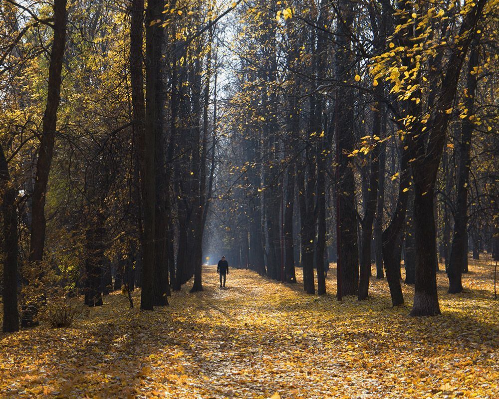 Нижегородская осень