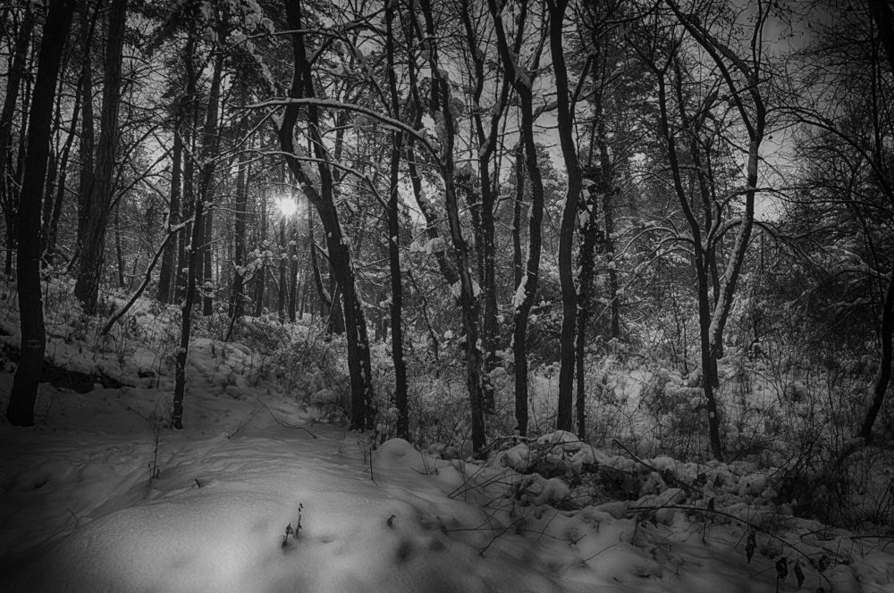 My winter