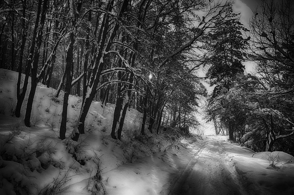 My winter