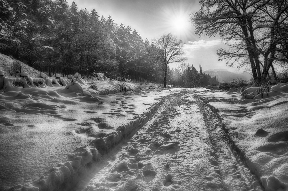My winter