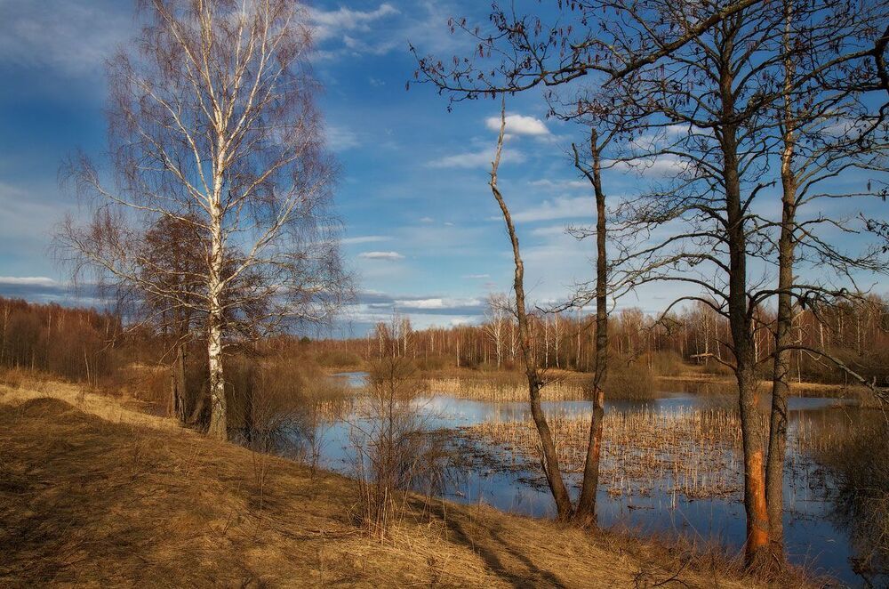 По Весне