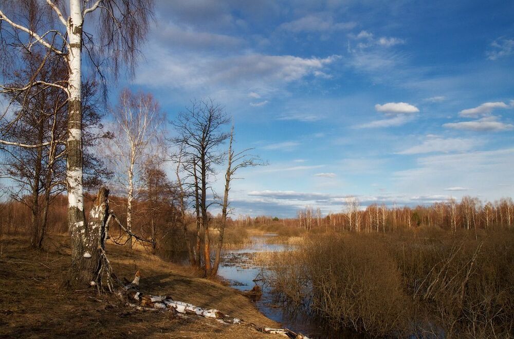 По Весне-2