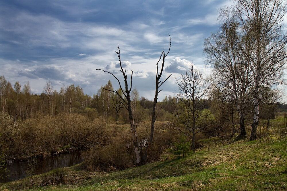 Весенний день
